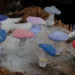 Amanda Seyfried Instagram - The mushrooms