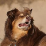 Amanda Seyfried Instagram - When it wasn’t very cold