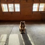 Amanda Seyfried Instagram -