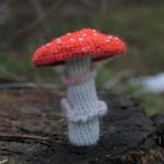 Amanda Seyfried Instagram - The mushrooms