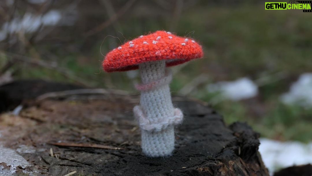 Amanda Seyfried Instagram - The mushrooms