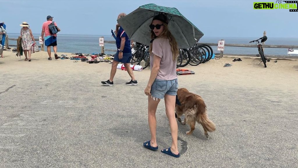 Amanda Seyfried Instagram - Summer went fast 🦭🌻