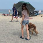Amanda Seyfried Instagram - Summer went fast 🦭🌻