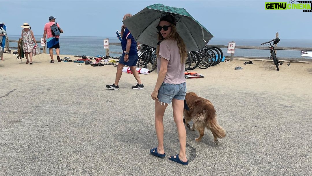 Amanda Seyfried Instagram - Summer went fast ðŸ¦ðŸŒ»