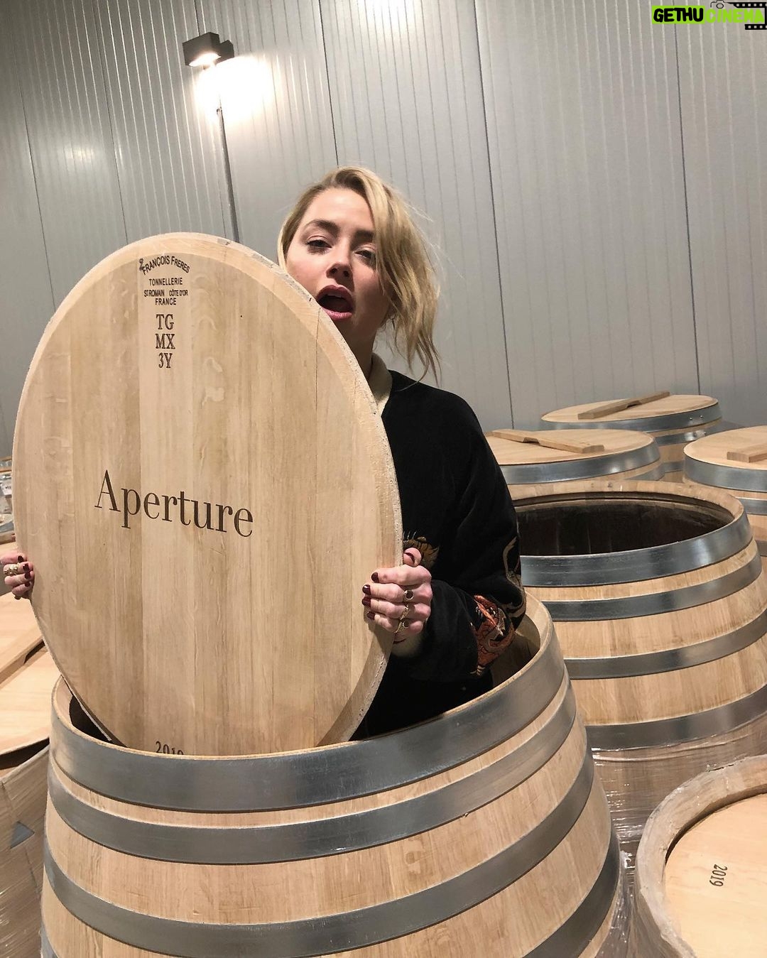 Amber Heard Instagram - Seasons Greetings 🍇