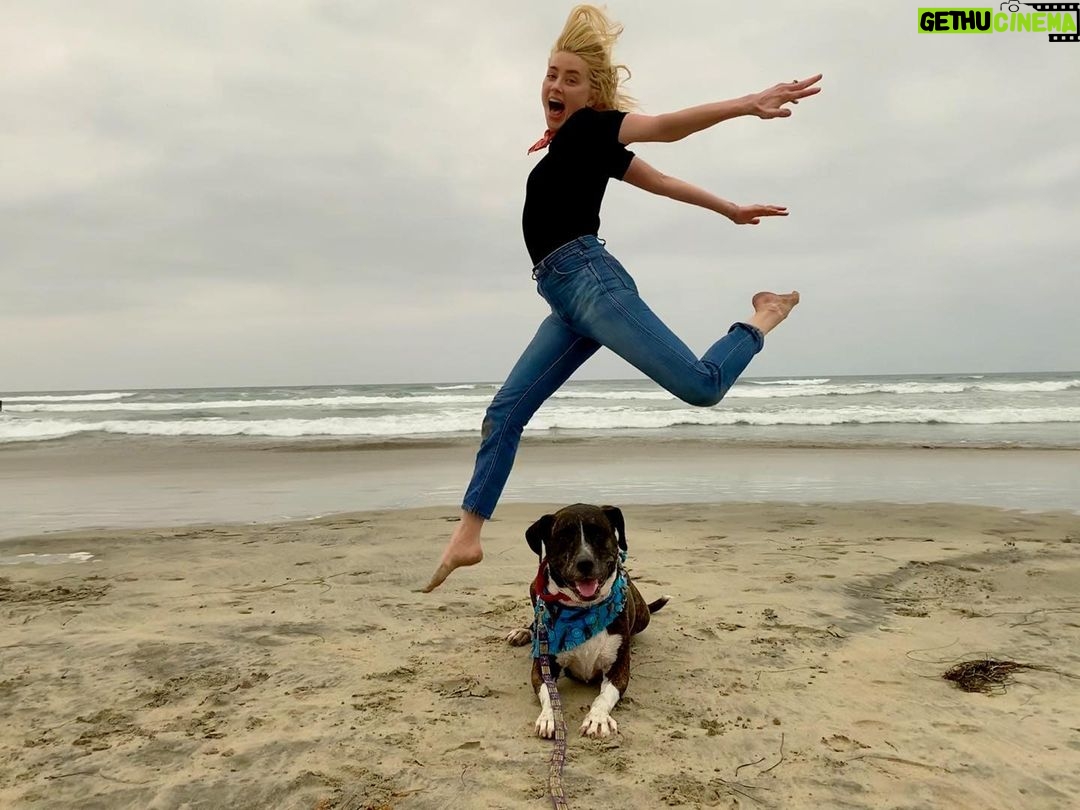 Amber Heard Instagram - Beach flight with my roll dog