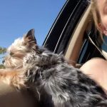 Amber Heard Instagram - Ride like the wind, Pistol