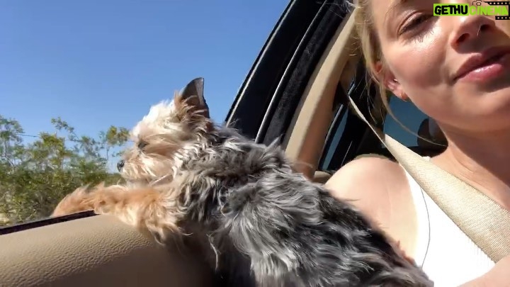Amber Heard Instagram - Ride like the wind, Pistol