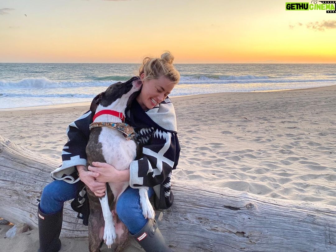 Amber Heard Instagram - Feeling the love from my quarantine companion