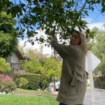Amber Heard Instagram - Keeping social distance by sourcing from my organic orchard ...or from the one orange tree in my front yard