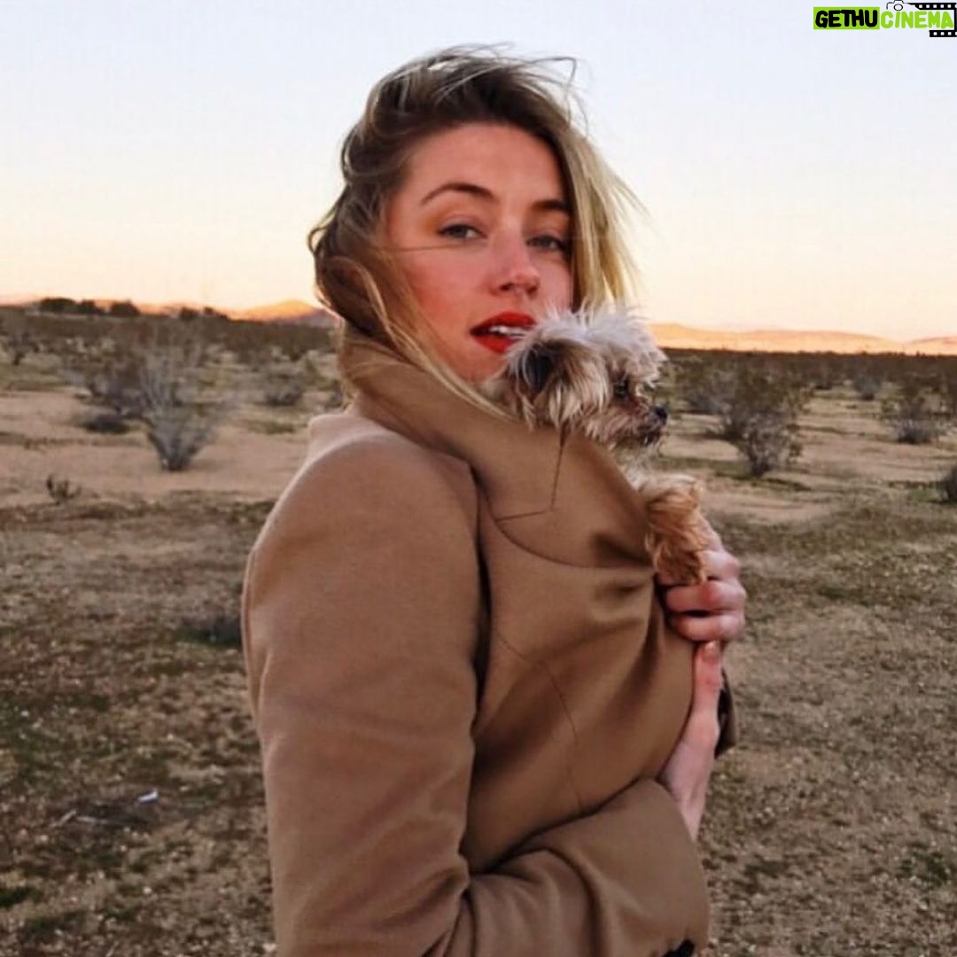 Amber Heard Instagram - On set, filming in the cold today. Missing my lil Pistol pocket warmer for the much needed extra heat. 📸 @iolovesyou