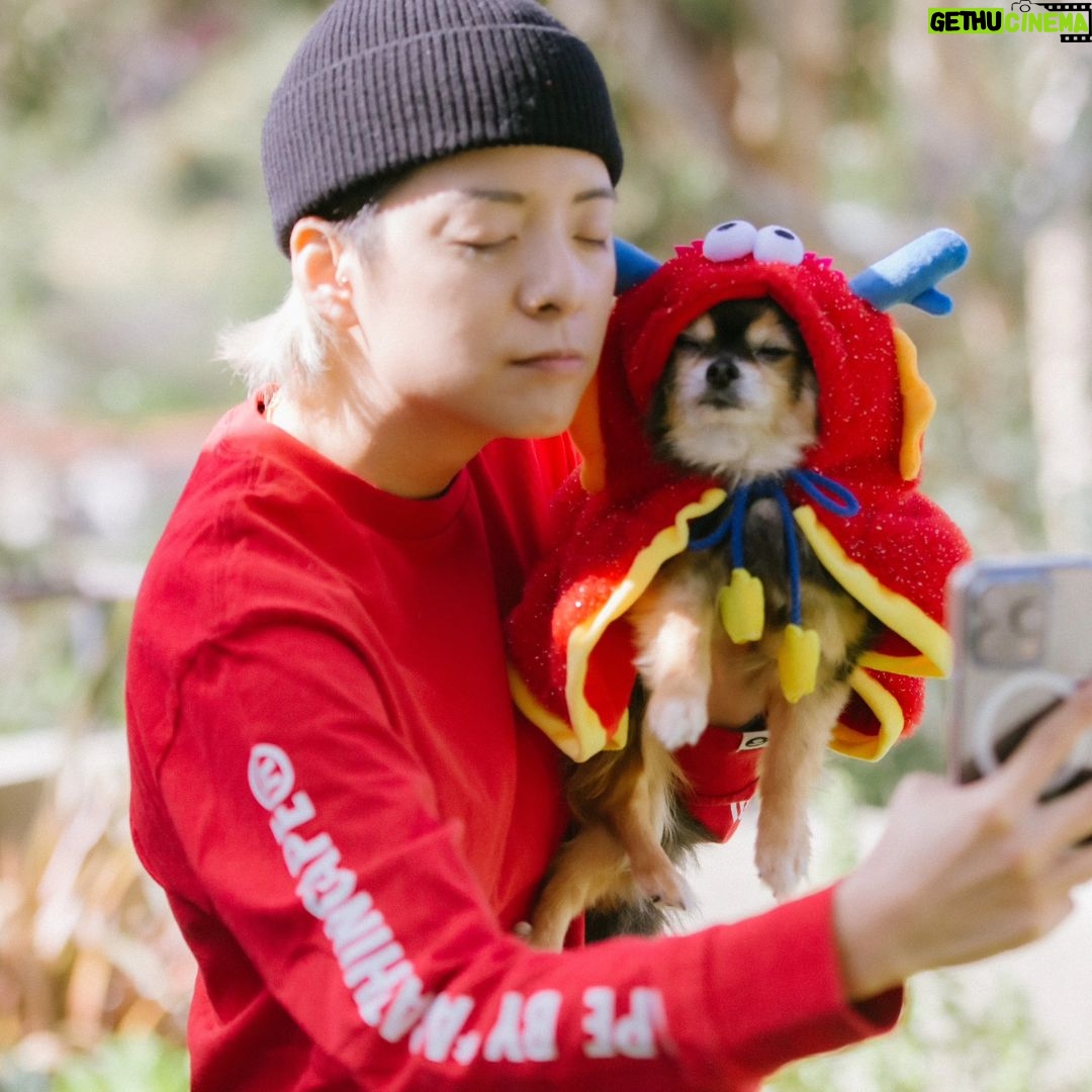 Amber Liu Instagram - Happy New Year from the Liu Family! Happy Spring Festival! #goodluckintheyearofdragon