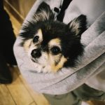 Amber Liu Instagram - #NoMoreSadSongsTour2024 D-1 The best tour prep companion - 👑 JackJack