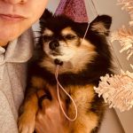 Amber Liu Instagram – merry christmas from the Lius 🎄