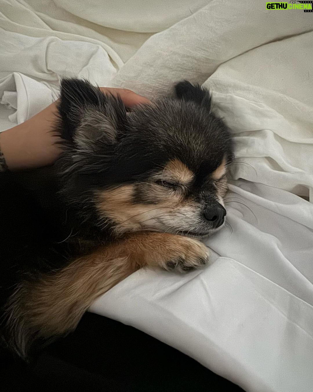 Amber Liu Instagram - JackJack appreciation postโฅ๏ธ all hail King JackJack ๐๐๐ถ