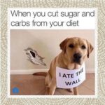 Amber Portwood Instagram - I know I’m not alone. 🍭 🍝 Just don’t eat the wall 🤪 #sugerfree #iquitsugar #iquitcarbsandsugartoo #findingthebalance #healthychoices #doginstagram #makingsmartdecisions
