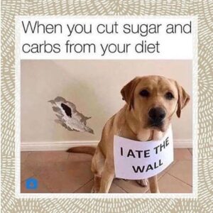 Amber Portwood Instagram - I know I’m not alone. 🍭 🍝 

Just don’t eat the wall 🤪

#sugerfree #iquitsugar #iquitcarbsandsugartoo #findingthebalance #healthychoices #doginstagram #makingsmartdecisions