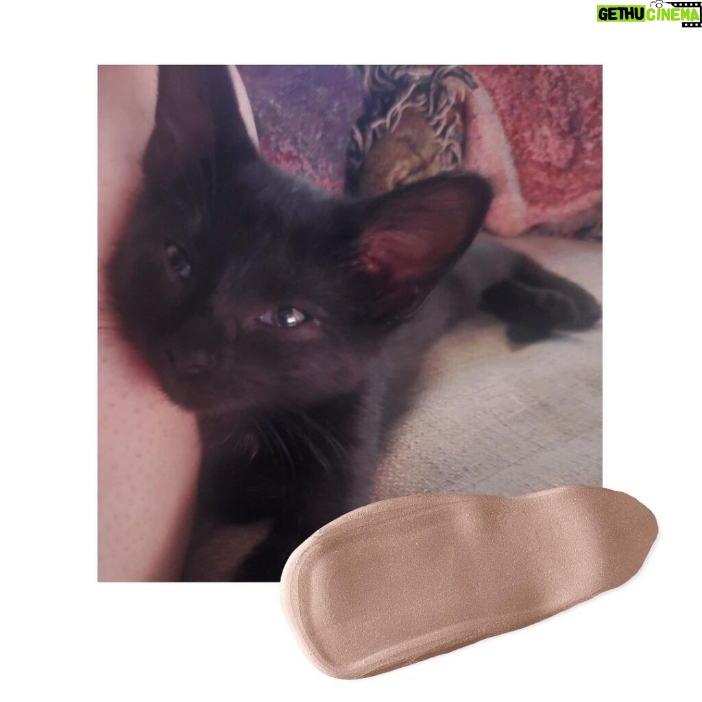 Amber Portwood Instagram - Saturday snuggles 🐈‍⬛ #lunamoon #blackcatsofinstagram #blackcatlove #hugandsnuggle #perfectpicture #cats #catscatscats #catphoto