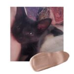 Amber Portwood Instagram – Saturday snuggles 🐈‍⬛

#lunamoon #blackcatsofinstagram #blackcatlove #hugandsnuggle #perfectpicture #cats #catscatscats #catphoto