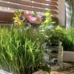 Amber Portwood Instagram - A little sunshine 🌞 helps everything grow. I love my little indoor garden 🪴. #nextlevel #growingup #thechapterofmylife