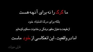 Amin Hayaei Instagram - #.
📌شکارچیان تنها گرگ سینمای ایران را کشتند!
💔
گرگ دست‌آموزی که در فیلم سینمایی «برف آخر» ساخته امیرحسین عسگری این روزها تصویرش روی پرده سینماها به عنوان یکی از آثار چهلمین جشنواره فیلم فجر نمایان می‌شود، صبح دیروز یکشنبه پس از این که دیوار محل نگهداری‌اش در کیاسر به دلیل بارش برف تخریب شد ، فرار کرد و توسط یکی از اهالی کشته شد.
.
این گرگ بیش از سه سال است که توسط یکی از اهالی کیاسر نگهداری می‌شد و با توجه به این که زمستان سال قبل در فیلم سینمایی «برف آخر» بازی کرده بود تنها گرگ سینمایی ایران نیز محسوب می‌شد و در طول فیلمبرداری کنار عوامل فیلم حضور داشته است.
.
شاخص‌ترین سکانس‌ این فیلم که صحنه پایانی آن است همین گرگ را نشان می‌دهد که بر اساس داستان فیلم نقشی برجسته در پایان‌بندی فیلم دارد.
#گرگ #ولفى #محيط_زيست #حامى_حيوانات#برف_آخر #برف