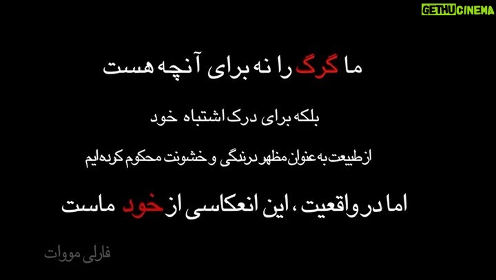 Amin Hayaei Instagram - #. 📌شکارچیان تنها گرگ سینمای ایران را کشتند! 💔 گرگ دست‌آموزی که در فیلم سینمایی «برف آخر» ساخته امیرحسین عسگری این روزها تصویرش روی پرده سینماها به عنوان یکی از آثار چهلمین جشنواره فیلم فجر نمایان می‌شود، صبح دیروز یکشنبه پس از این که دیوار محل نگهداری‌اش در کیاسر به دلیل بارش برف تخریب شد ، فرار کرد و توسط یکی از اهالی کشته شد. . این گرگ بیش از سه سال است که توسط یکی از اهالی کیاسر نگهداری می‌شد و با توجه به این که زمستان سال قبل در فیلم سینمایی «برف آخر» بازی کرده بود تنها گرگ سینمایی ایران نیز محسوب می‌شد و در طول فیلمبرداری کنار عوامل فیلم حضور داشته است. . شاخص‌ترین سکانس‌ این فیلم که صحنه پایانی آن است همین گرگ را نشان می‌دهد که بر اساس داستان فیلم نقشی برجسته در پایان‌بندی فیلم دارد. #گرگ #ولفى #محيط_زيست #حامى_حيوانات#برف_آخر #برف