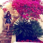 Amine Gülşe Instagram - 🌸💗