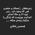 Amir Jafari Instagram - #محسن_شکاری