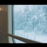 Amir Jafari Instagram - ببخش.. آدمارو، همونا که یک- هیچ عقب هستن تو رفاقت. یک- هیچ عقب هستن تو صداقت. یک- هیچ جلو هستن تو حسادت. ببخش @hosseinsoleimani