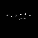 Amir Jafari Instagram - به یاد زمستان تلخی که آرزوها سوختند و زندگی هایی که در نهایت بُهت ویران شدند و مردمی که تا ابد داغدار ... دردا و دریغا که در این بازی خونین بازیچه ایام، دل آدمیان است ... #176 #هواپیمای_اکراینی #آتش_به_پرهامان_زدند