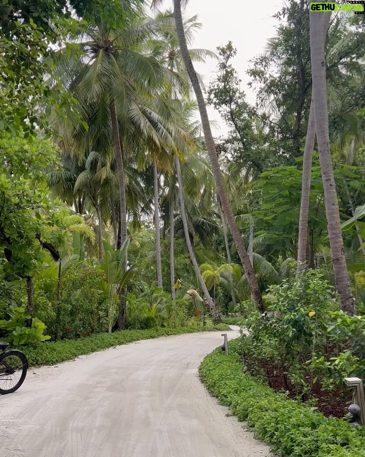 Amir Khan Instagram - Self-belief & hard work will always earn you success🏝️👊🏼 JOALI Maldives