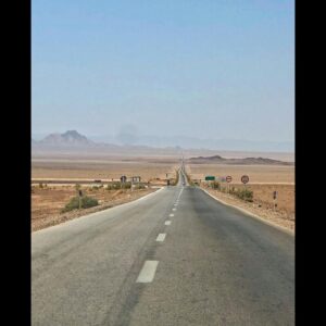 Amirhossein Arman Instagram - جایی دیگر ..
#theotherplace 
#salina 
#calture 
#desert 
#camel 
#road 
#palm 
#date
#sun 
#moon 
#trip 
#iran