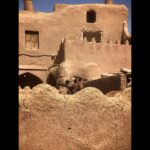 Amirhossein Arman Instagram - جایی دیگر .. #theotherplace #salina #calture #desert #camel #road #palm #date #sun #moon #trip #iran Khur Salt Lake دریاچه نمک خور