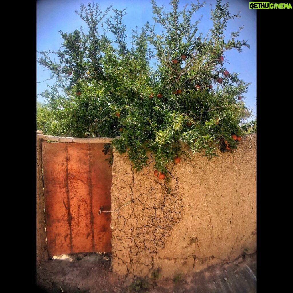 Amirhossein Arman Instagram - جایی دیگر .. #theotherplace #salina #calture #desert #camel #road #palm #date #sun #moon #trip #iran Khur Salt Lake دریاچه نمک خور