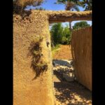 Amirhossein Arman Instagram – جایی دیگر ..
#theotherplace 
#salina 
#calture 
#desert 
#camel 
#road 
#palm 
#date
#sun 
#moon 
#trip 
#iran Khur Salt Lake   دریاچه نمک خور