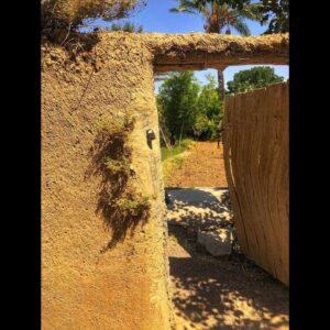 Amirhossein Arman Instagram - جایی دیگر ..
#theotherplace 
#salina 
#calture 
#desert 
#camel 
#road 
#palm 
#date
#sun 
#moon 
#trip 
#iran