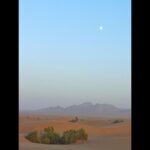 Amirhossein Arman Instagram – جایی دیگر ..
#theotherplace
#salina
#calture
#desert
#camel
#road
#palm
#date
#sun
#moon
#trip
#iran Khur Salt Lake دریاچه نمک خور