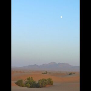 Amirhossein Arman Instagram - جایی دیگر ..
#theotherplace 
#salina 
#calture 
#desert 
#camel 
#road 
#palm 
#date
#sun 
#moon 
#trip 
#iran