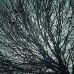 Amirhossein Arman Instagram - صبحتون بخير روزتون شاد رفقا