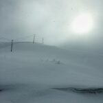 Amirhossein Arman Instagram - #white