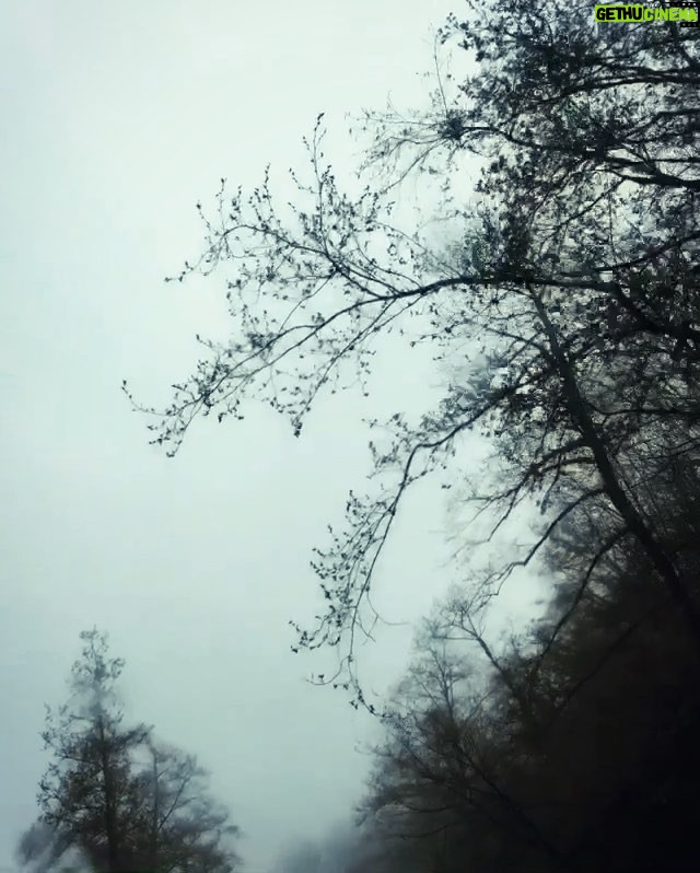 Amirhossein Arman Instagram - Last control #Anathema