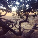 Amirhossein Arman Instagram - وقتى اونجورى كه دوست دارى، زندگى كنى؛ ميشى شبيه خودت؛تازه اونوقت ميتونى دنبال خودت بگردى...