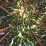 Amirhossein Arman Instagram – با تو انگار تو بهشتم ..