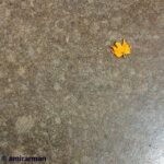 Amirhossein Arman Instagram – آيا زندگى در جزييات خلاصه شده يا جزييات در زندگى ..!؟