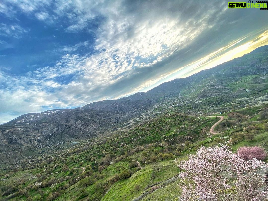 Amirhossein Arman - 319.5K Likes - روز جهانی 🌍
📷 @amirarman