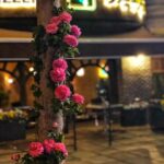 Amirhossein Arman Instagram - 🌸 @paradiso_karaj Azimiyeh_karaj