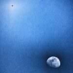 Amirhossein Arman Instagram - ماه و ماهِر 📸: @amirarman #moon #eagle #bluesky #freedom