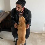 Amit Sadh Instagram - My Brando has gone …. “I loved you for your whole life and I'll miss you for the rest of mine.” RIP❤️