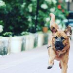 Amit Sadh Instagram - Love of my life ❤️
