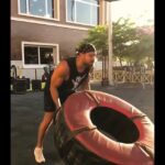 Amr Youssef Instagram - #Repost @mahmoud_ezz_11 with @get_repost ・・・ @amryoussefofficial workout routine 🦾🔥 #amryoussef #teamezz #yokiikassem #makesyoustronger